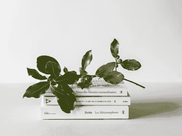 手机号轰炸测试