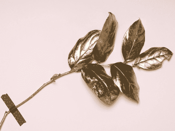 【Bug修复版】完美运行的电话轰炸机官网